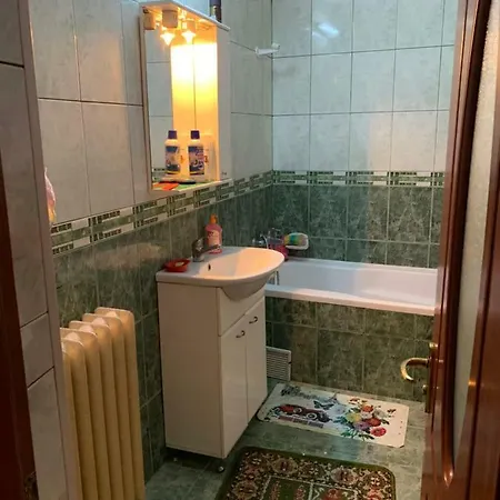 Velcea Constantin 2 Homestay