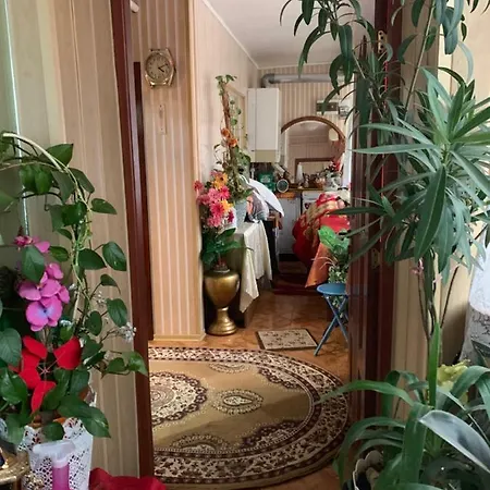民宿 Velcea Constantin 2 康斯坦察